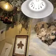 ぽんの画像