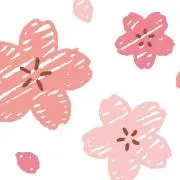 momoの画像