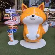 たくちゃんの画像