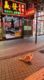 エボルグの画像