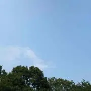 pe