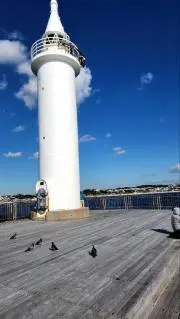 ふじの画像