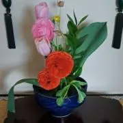 ゆうの画像