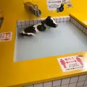 ヌパンの画像