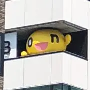 たかぽんの画像