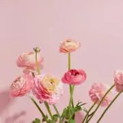 ゆいの画像