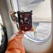 コロ丸ちゃんの画像