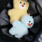 mofの画像