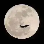 ちぃたんの画像