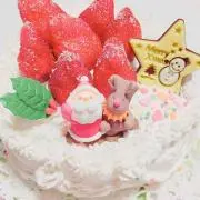 ぽんちゃん