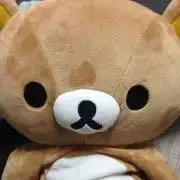 kikiの画像