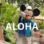 REI_ALOHAの画像