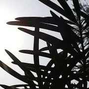 5-5の画像