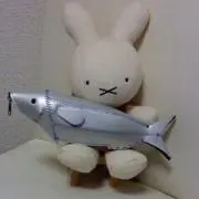 鰤太郎