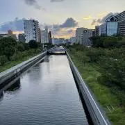 板橋の画像