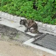 常陸