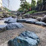 あっちゃの画像