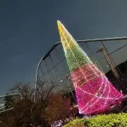 ⭐︎花⭐︎断捨離中！の画像