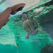 なんばの画像