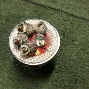 さざえ