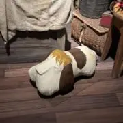 ていていの画像