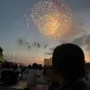 ポンテルの画像