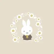 y☺︎の画像