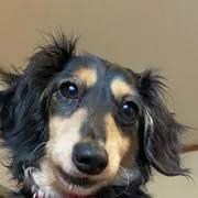 みりん