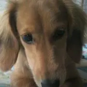 たかぽん