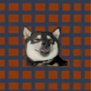 そらまめの画像