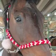 よっちゃん(プロフお読み下さい)