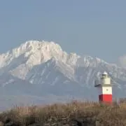 ココナッツの画像