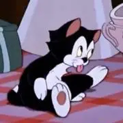 フィガちゃんの画像