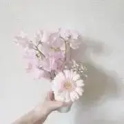 もちの画像