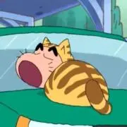 めめっちの画像