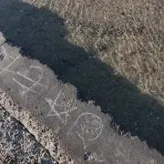 Horの画像