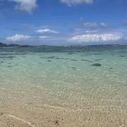 ®️の画像