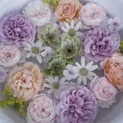 coco-karaの画像