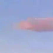 スの画像