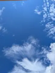 GIEMUの画像