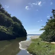 つなぴこの画像