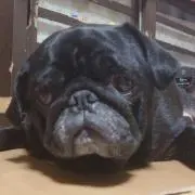 サブ