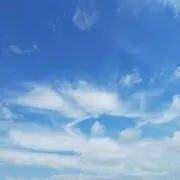 運がいい♪の画像