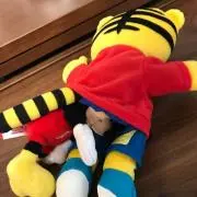 momokoの画像
