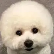r★断捨離中のため値段交渉承り中★の画像