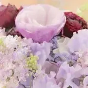 miiの画像