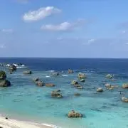 シルバーボーイの画像