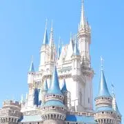 flowerの画像