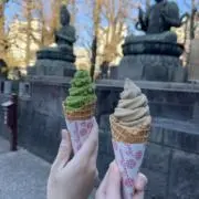 いちごにゃんこの画像