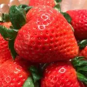 苺の画像